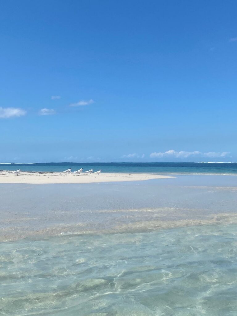 Excursion Grand cul de sac marin