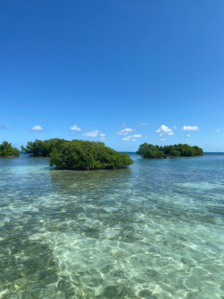 Excursion Grand cul de sac marin